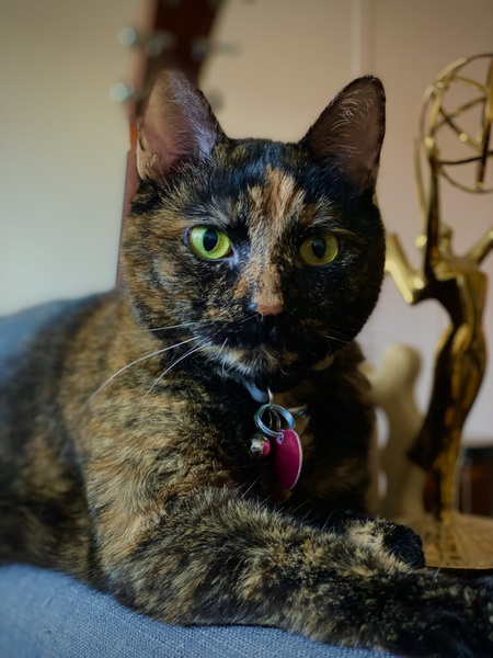 Artemis