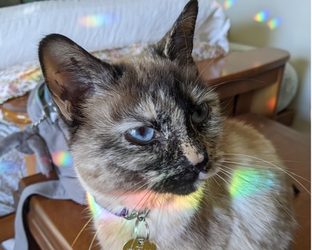 Millie