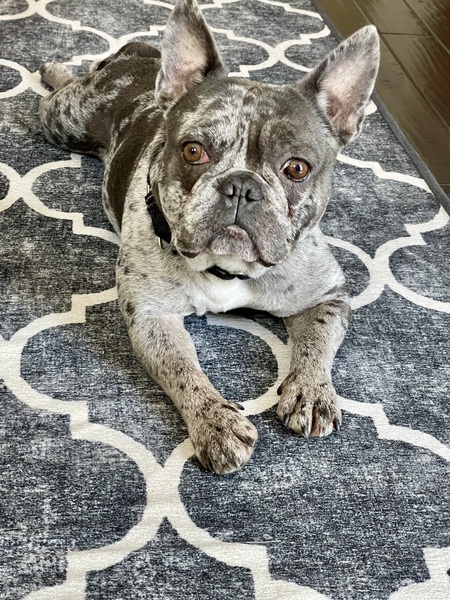Gus