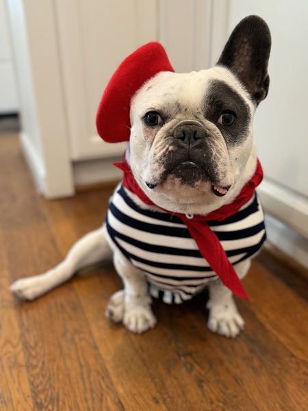 Roco Tyson