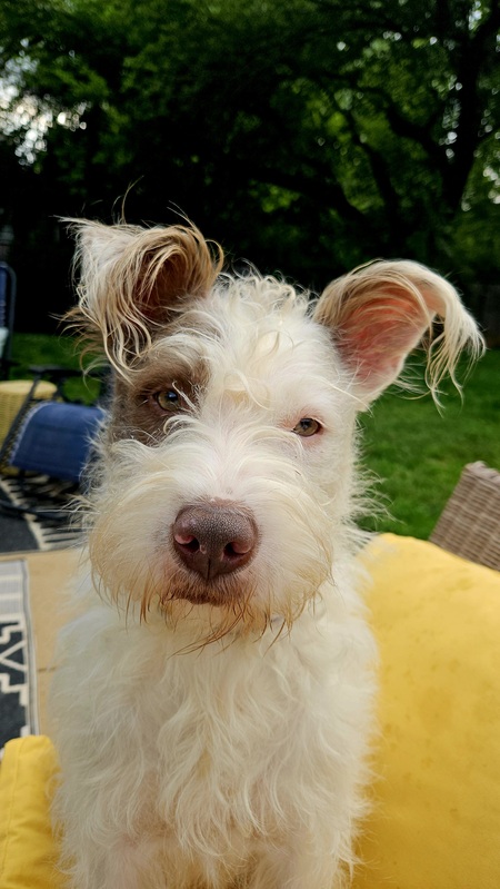 Walter