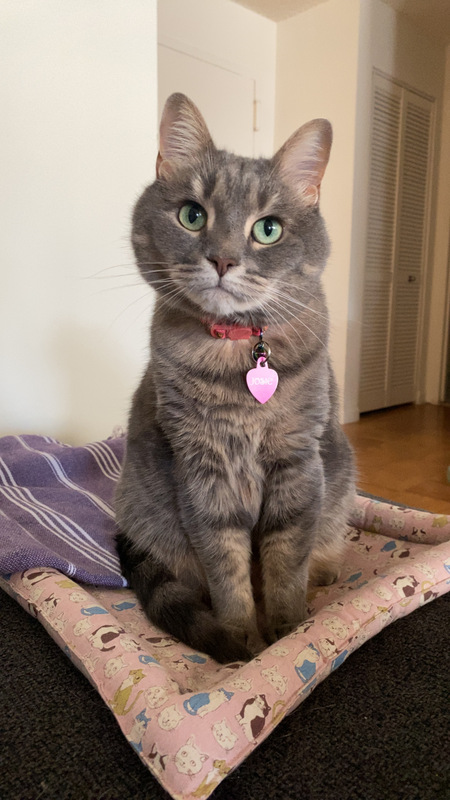 Josie