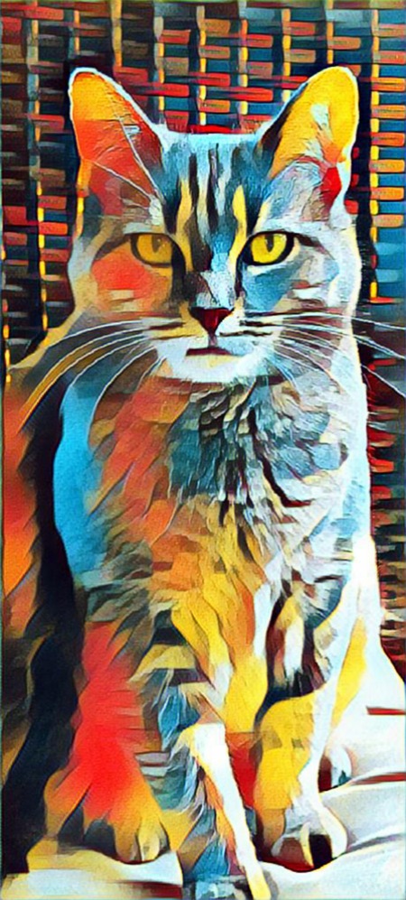 Comet
