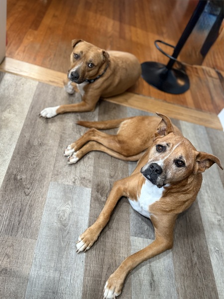 Roxy & Luna 