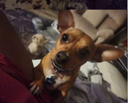 Paco 