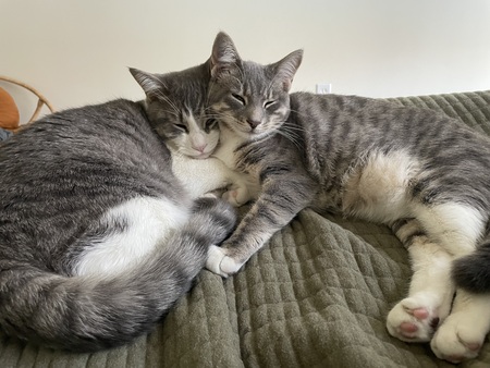 Murphy and Misha 