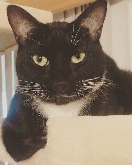 Salem