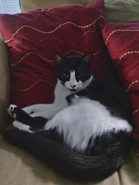 Luna