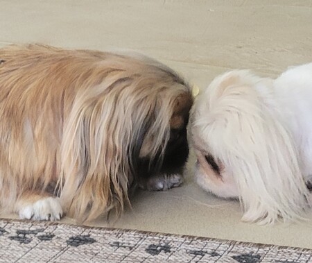 Toby & Bella