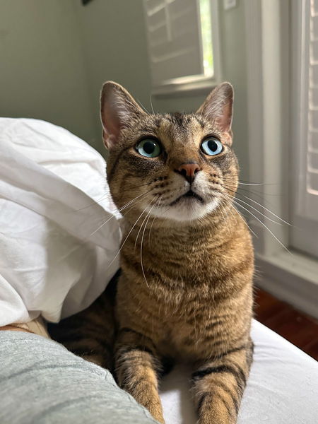 Arlo