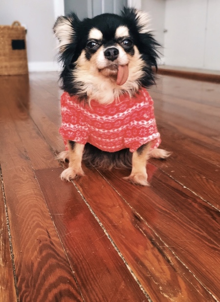 Eloise