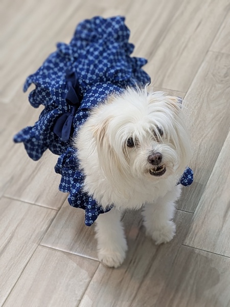 Rosie 