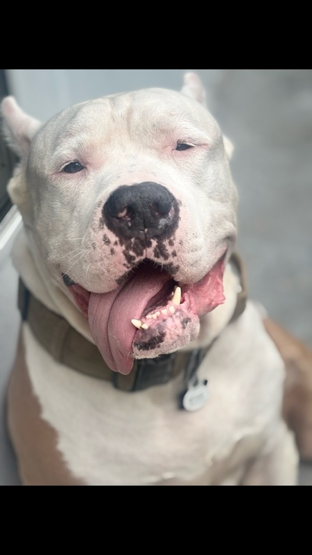 Drax