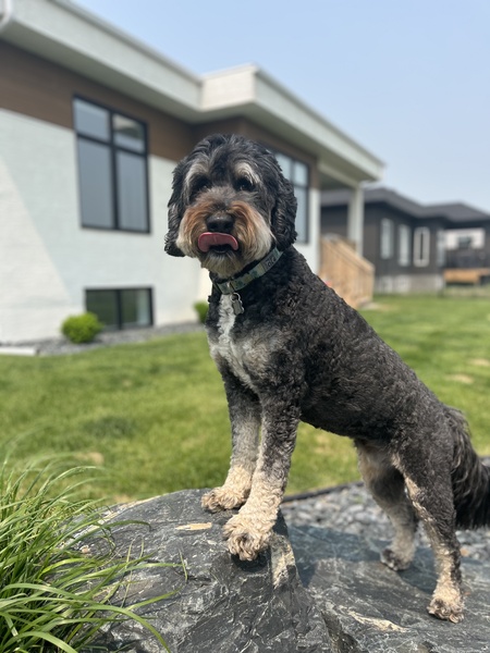 Kona