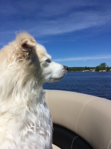 Max