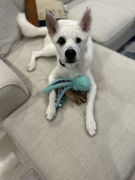 Theodore
