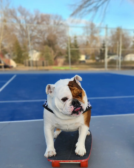 Charlie