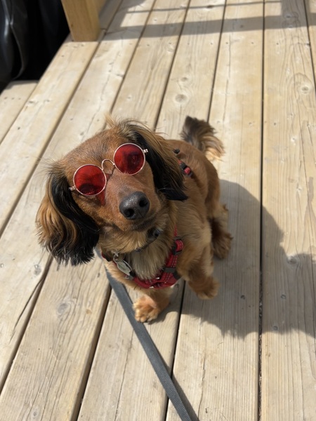 rosco