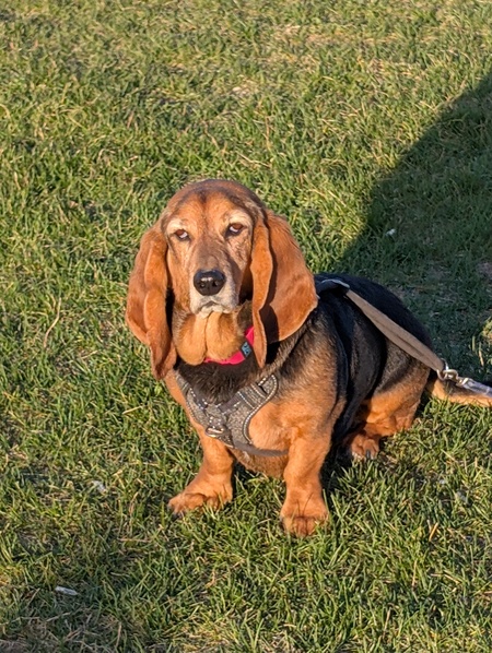 Ellie