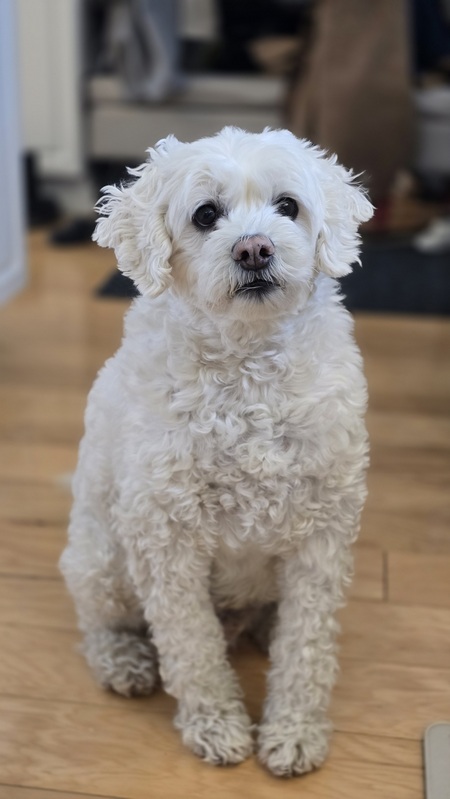 Ben
