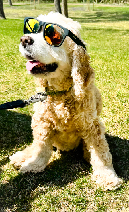 Cosmo