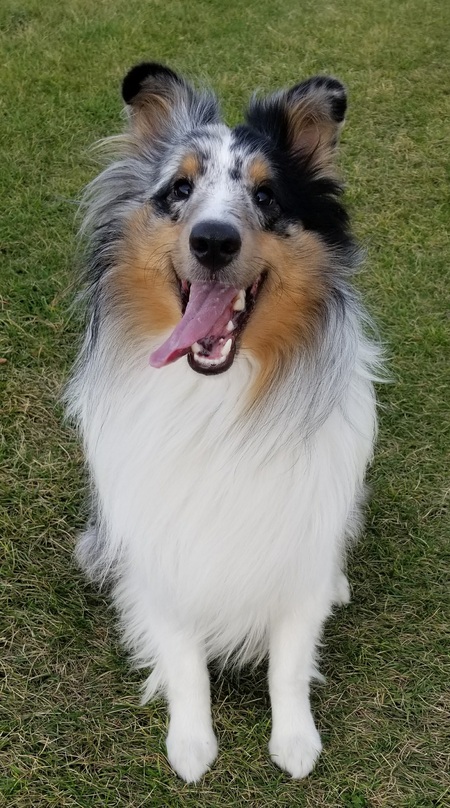 Loki