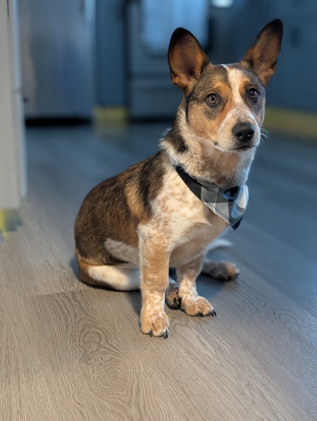 Toby (Tobiwan Kenobi)
