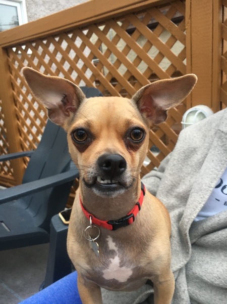 Charlie