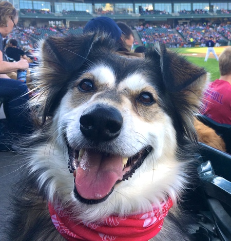 Gracie