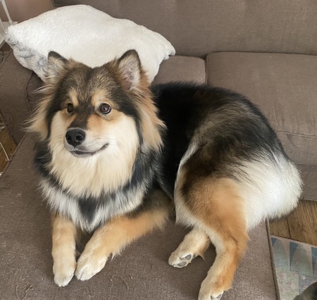 Penelope