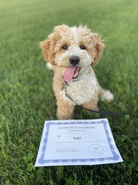 Tobi