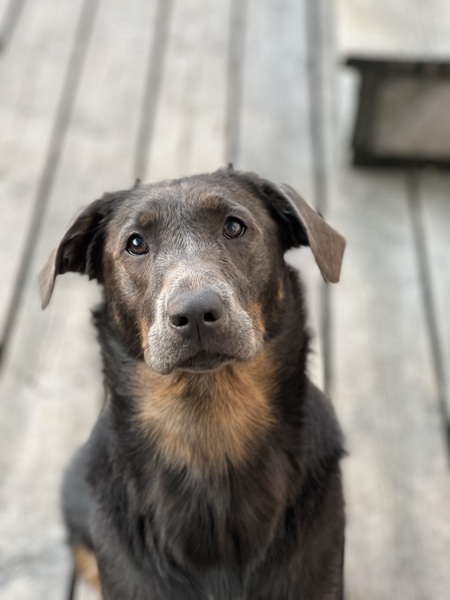 Ella