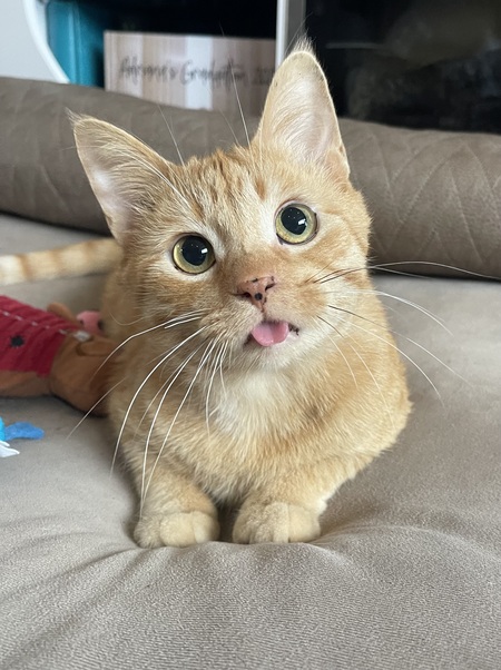 Lenny