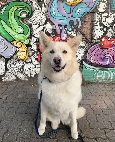 Mia