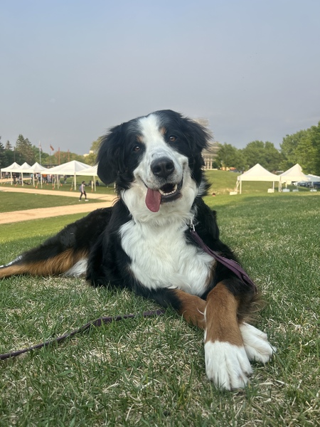 Greta 