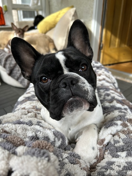 Nuki
