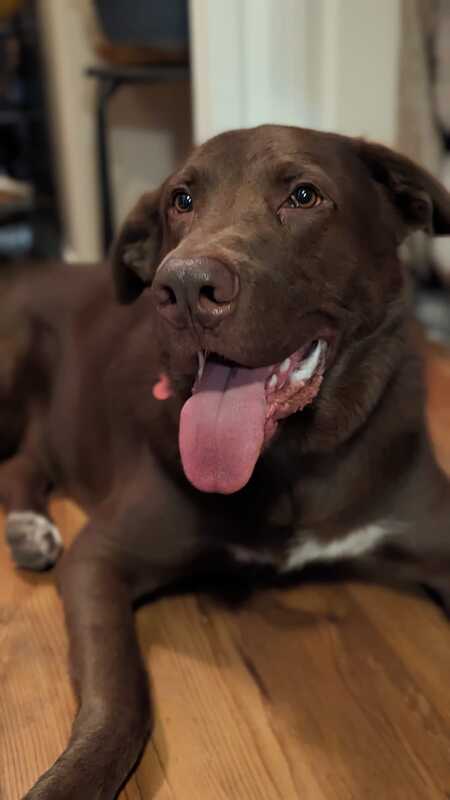 Huey