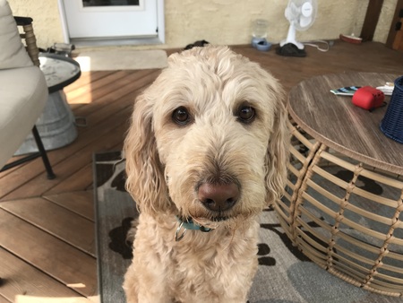 Benny