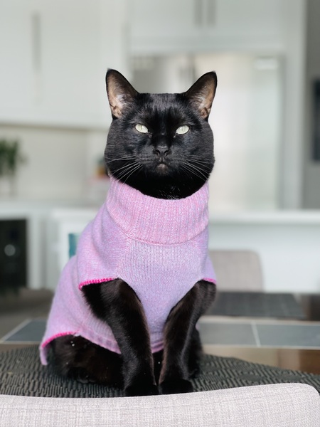 Luna