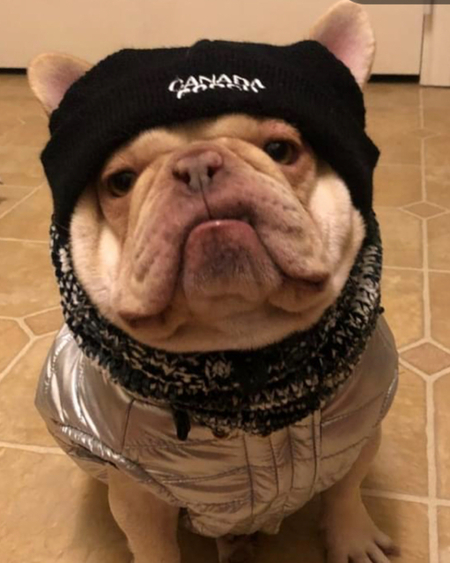 Ted. E. Bear