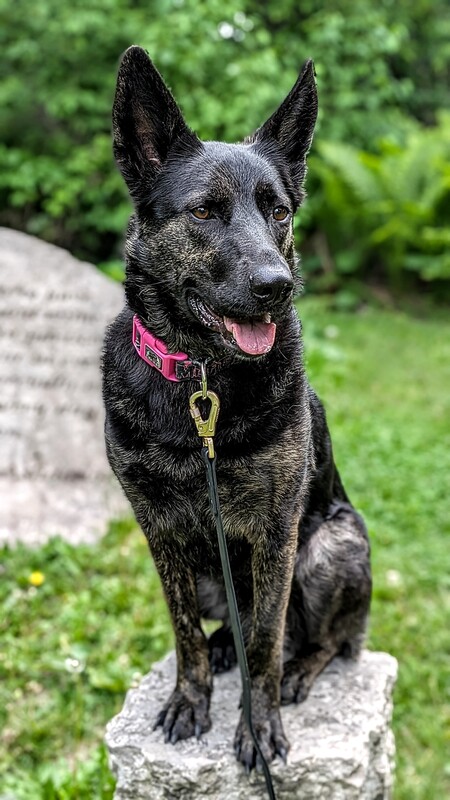 Cyndi
