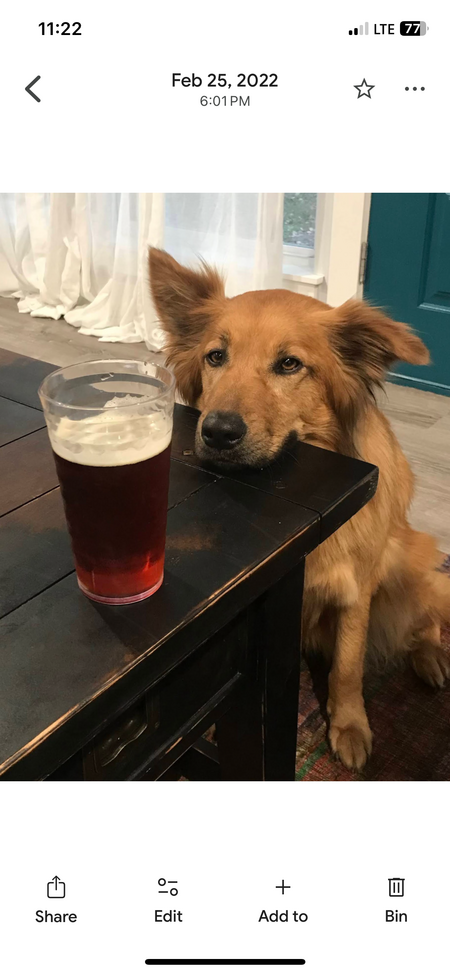 Charley 