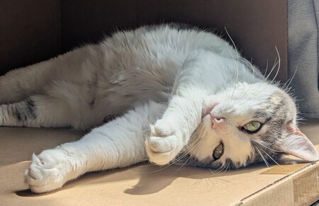 Maggie