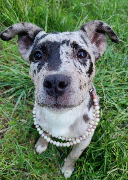 Wilma