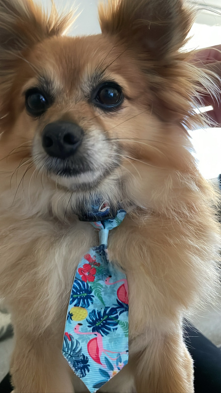 George