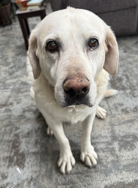 Molly Mae 