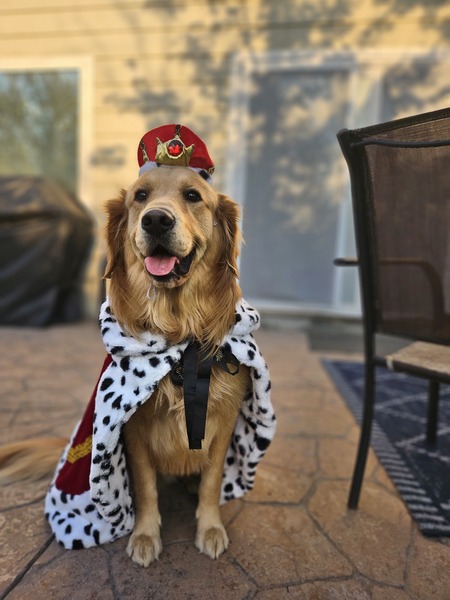 Lord Reginald 