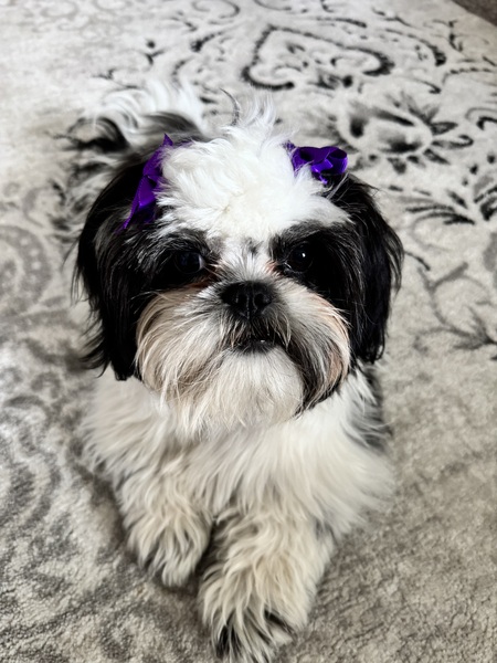 Gracie Mei