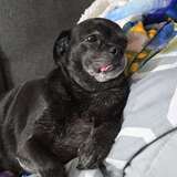 Entry image for Princess Katie