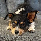 Entry image for Habibti